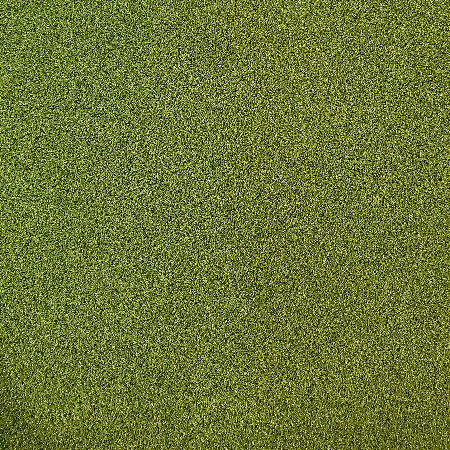 Close-up of Golf Turf