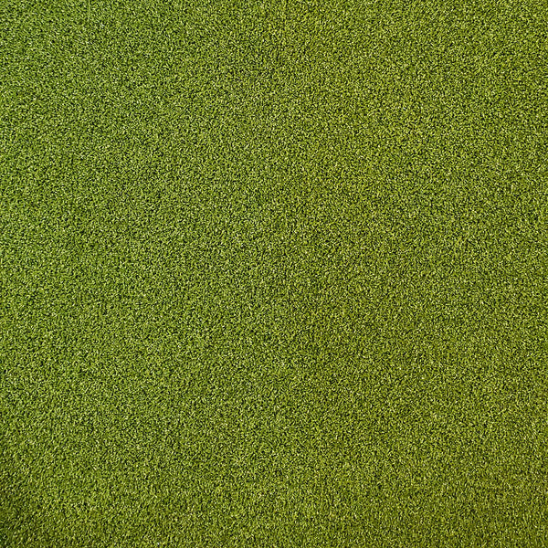 Close-up of Golf Turf